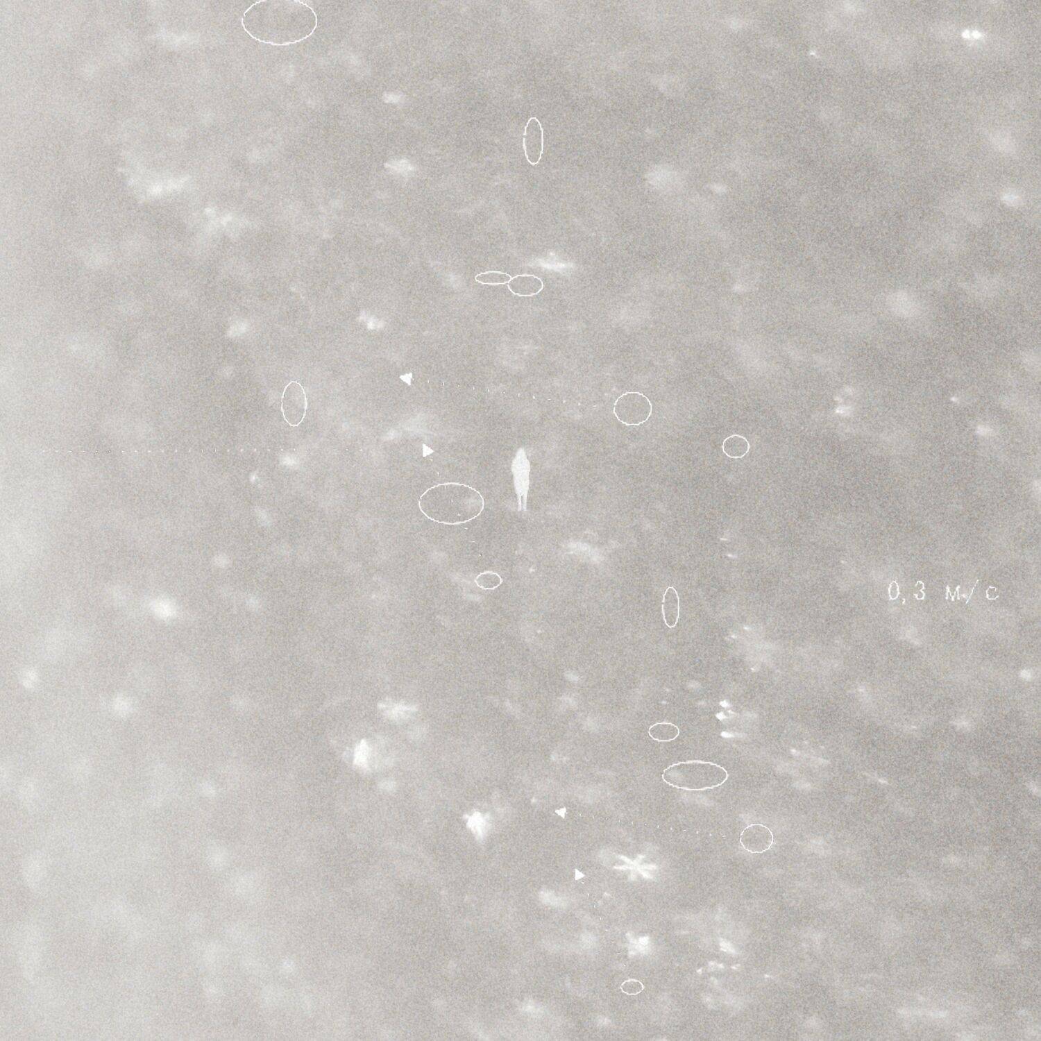 , Таня Смолевская