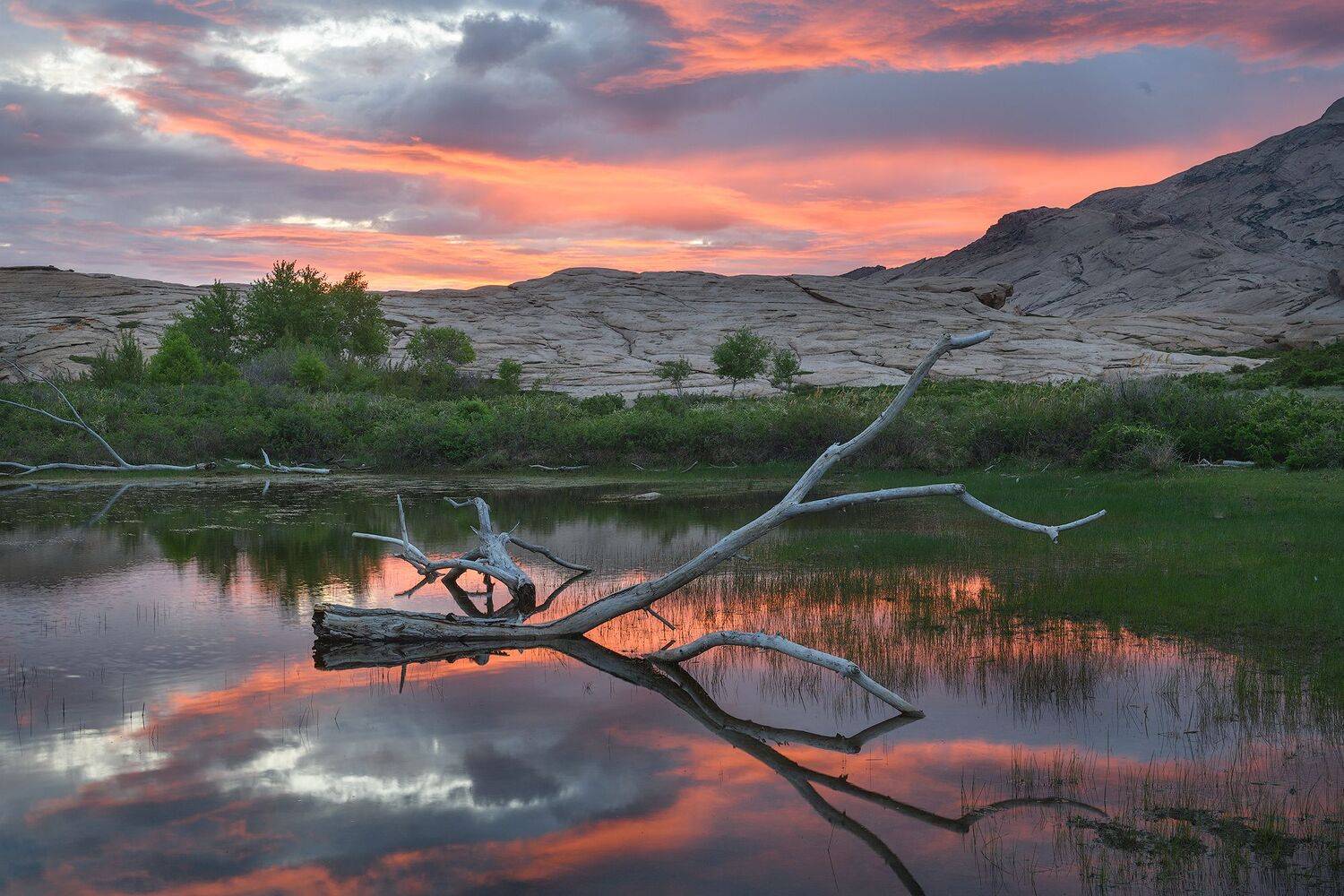 бектау_ата, бекатуата, Эдуард Кутыгин