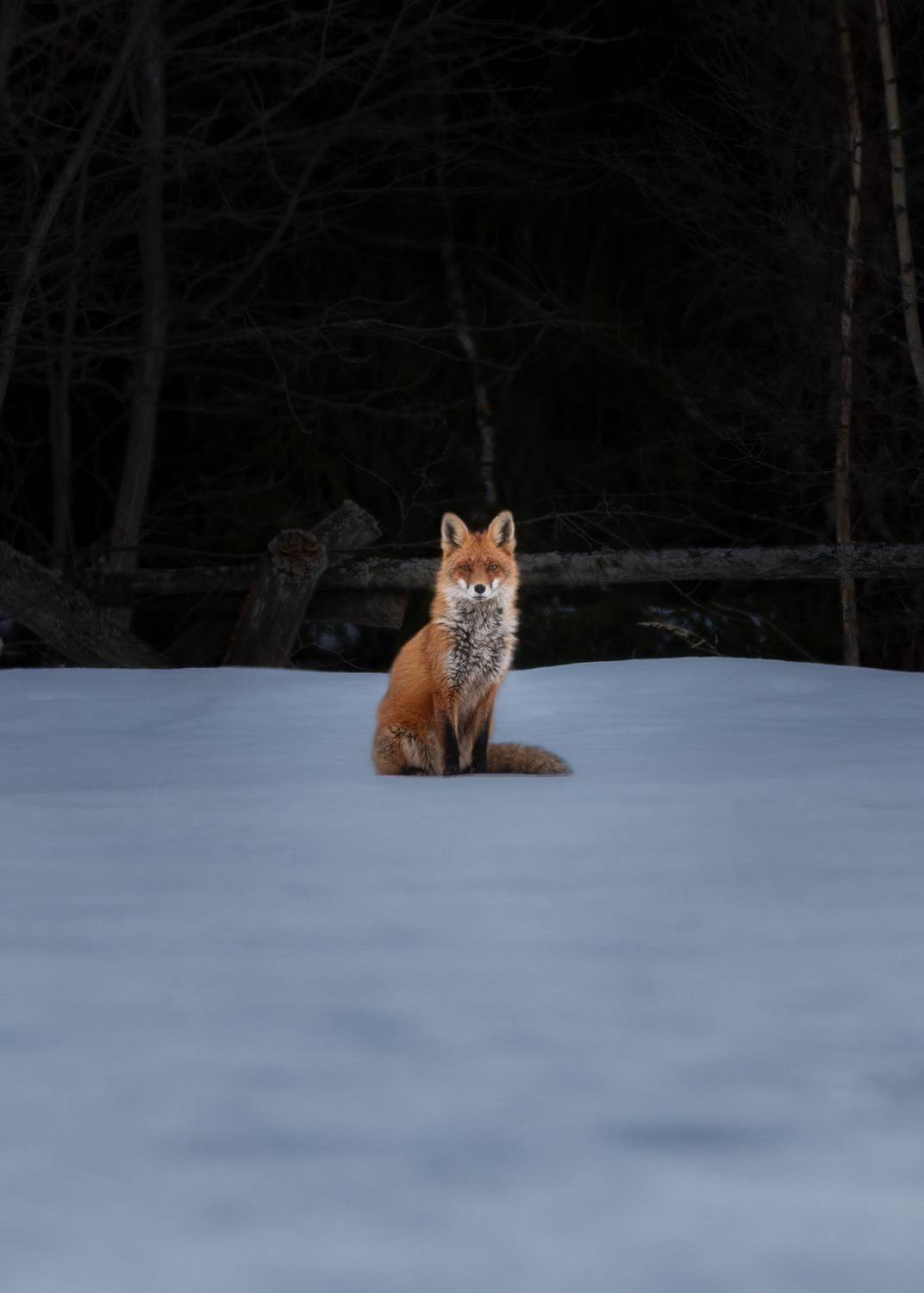 , Михаил Загрядский