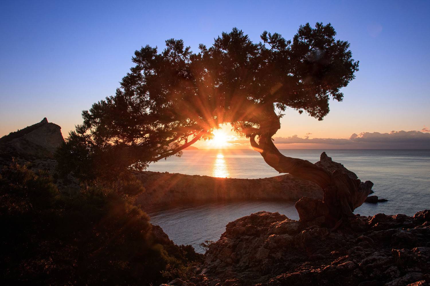 крым, Добролюбова Тамара