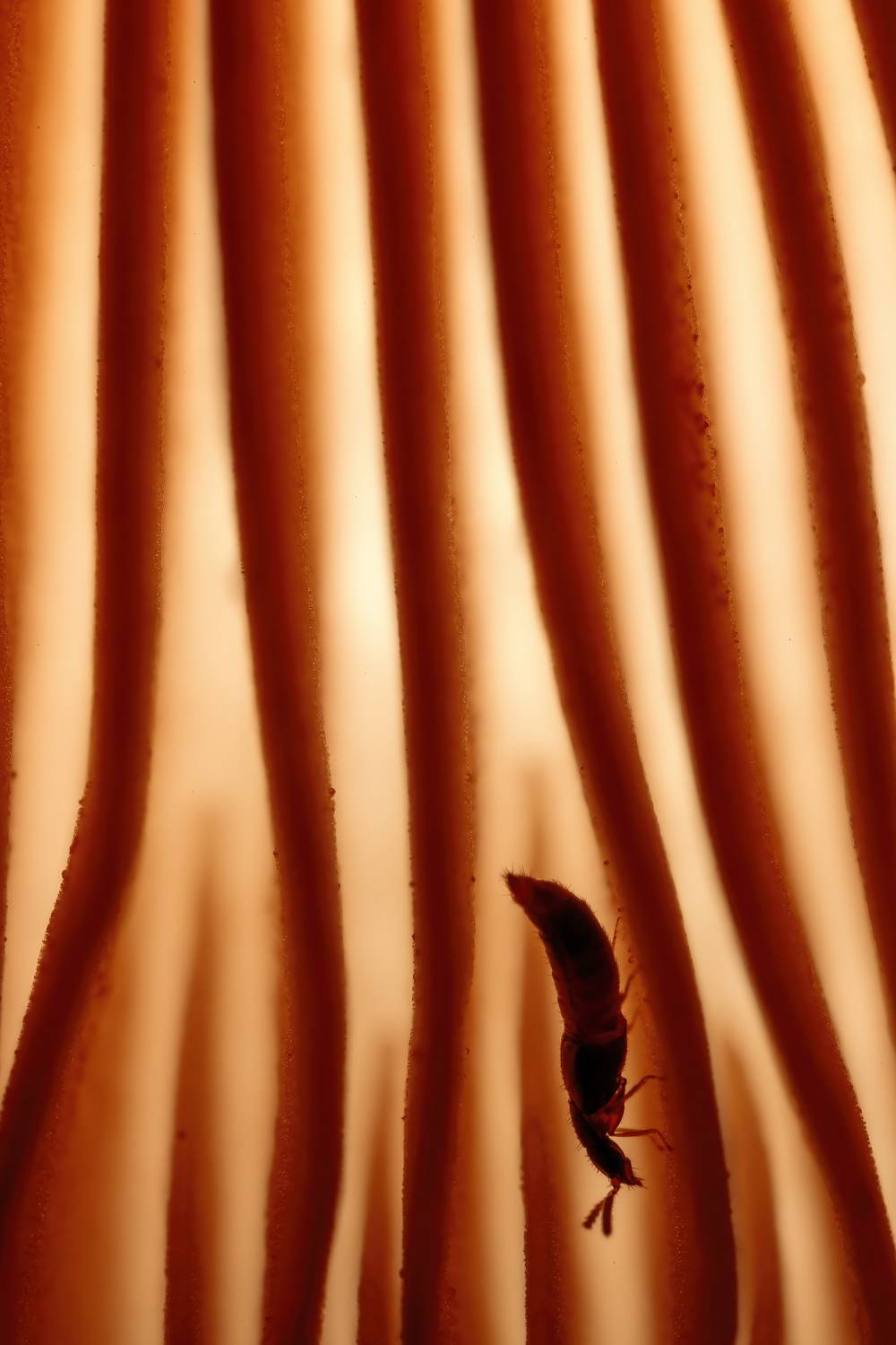 , Кузнецов Дмитрий