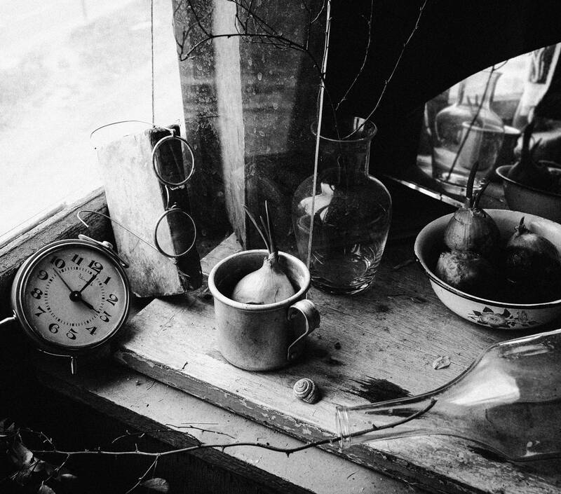 лучок.. фото превью