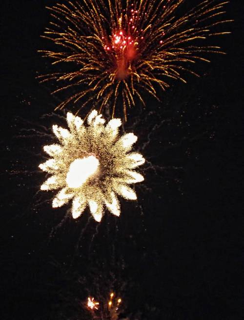 , Савоцкий Роман