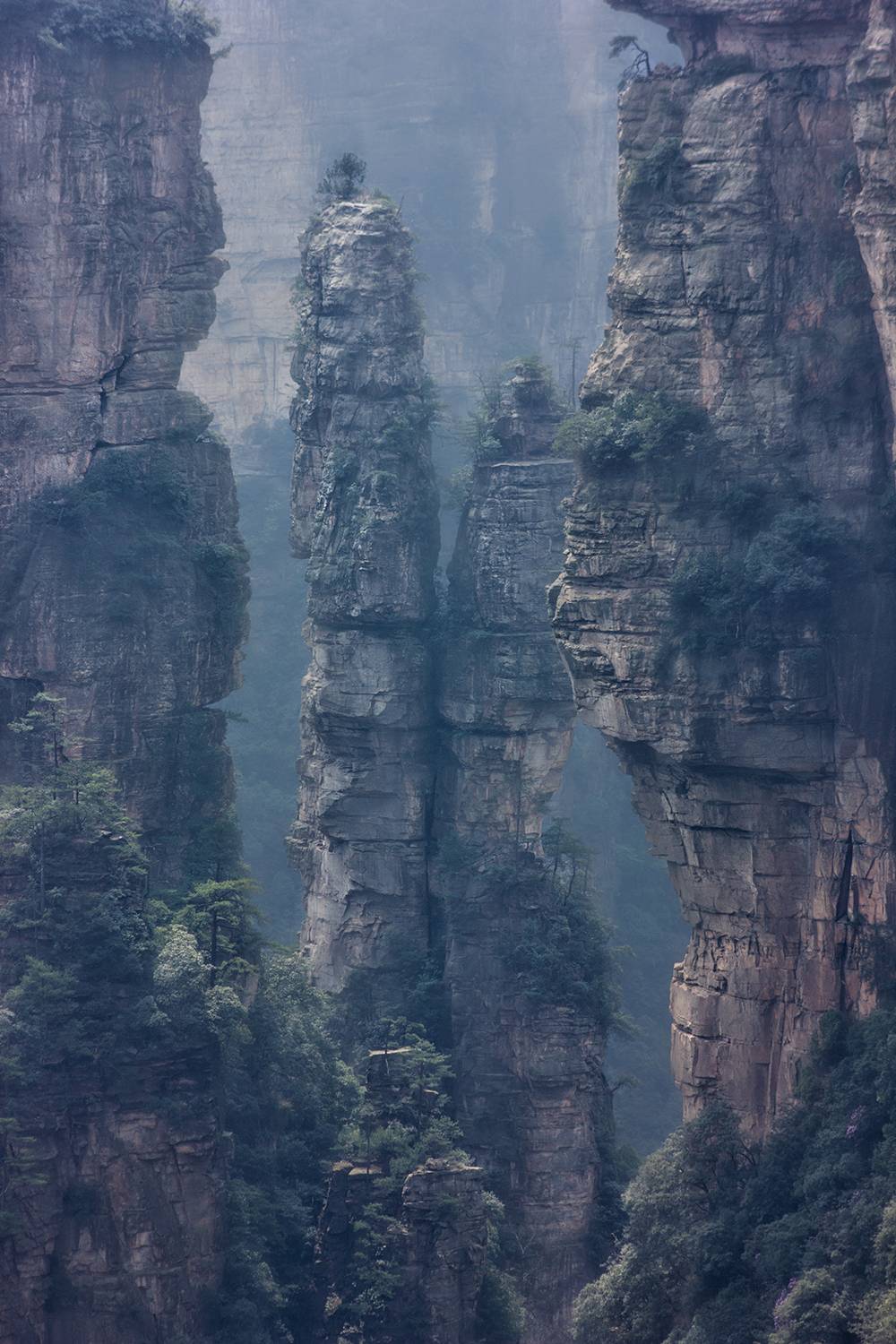 китай, аватар, скалы, каньон, чжанцзянцзе, пейзаж, горы, пандора, Александр Чазов