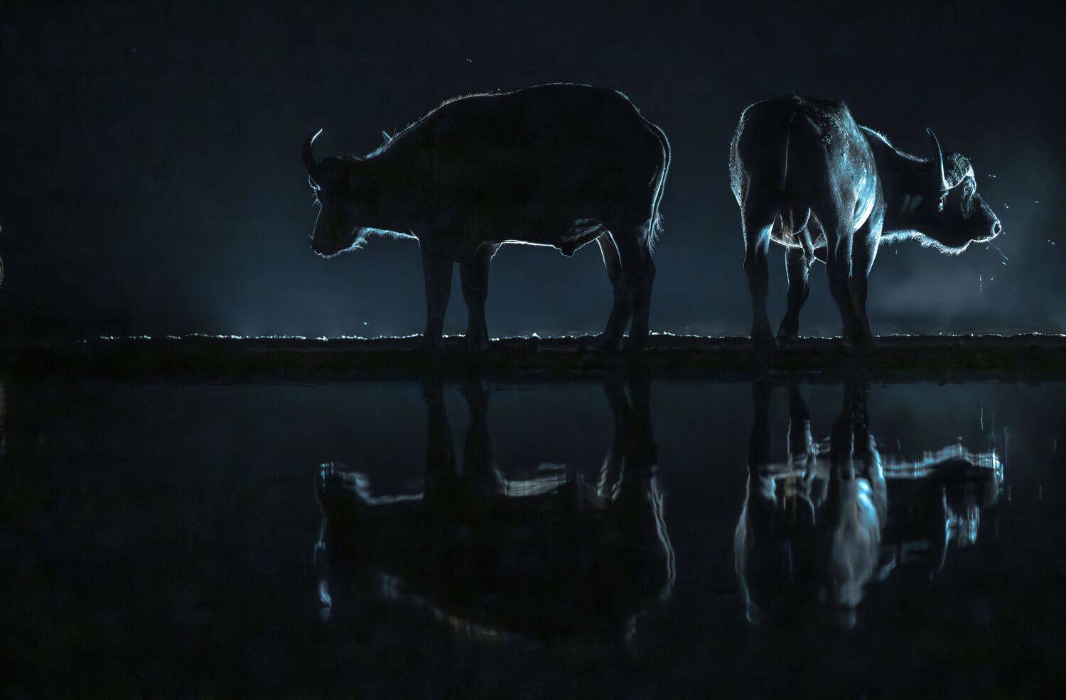 Кения, Сулоев Алексей