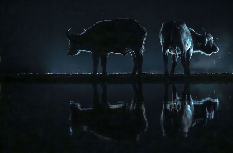 Кения  фото превью