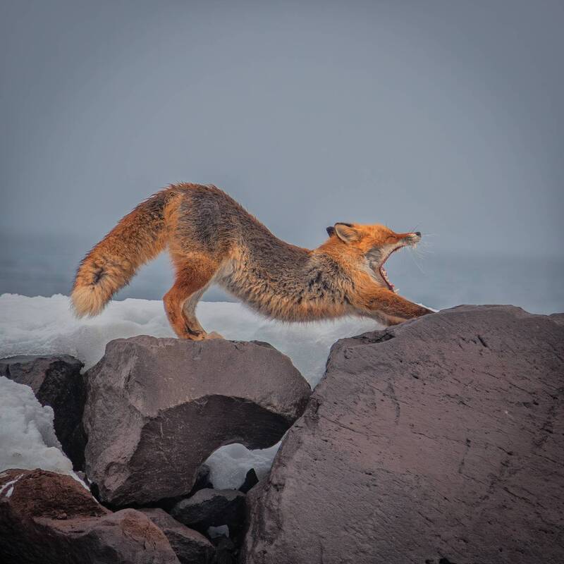 Зарядка на берегу Охотского моря фото превью