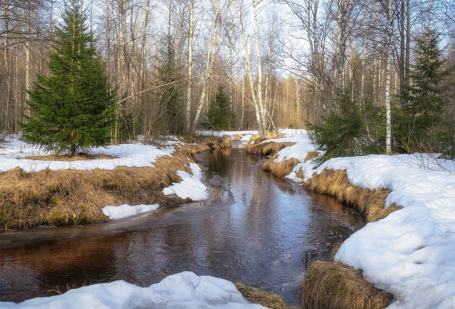 , Панова Зоя