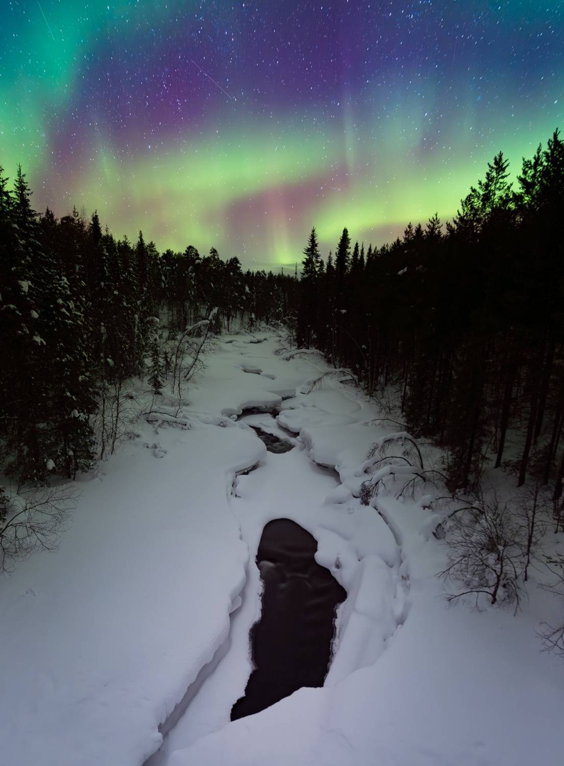 , Васильева Дарья