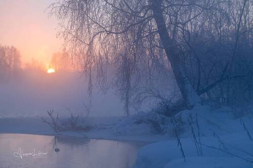 Морозное утро...