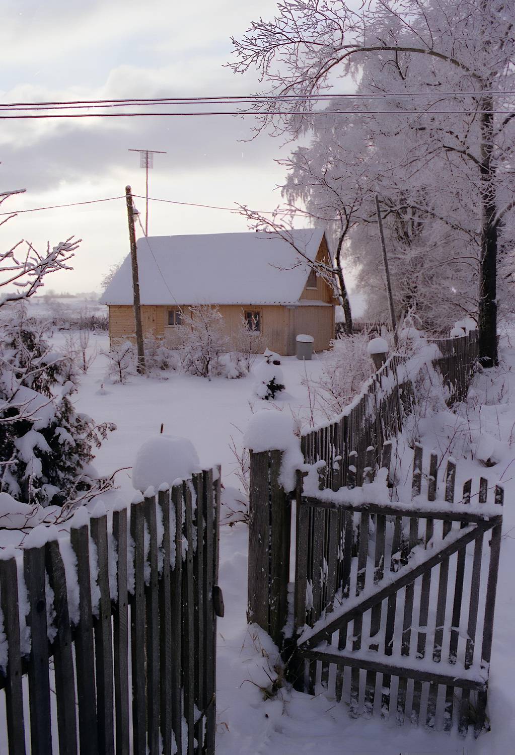 , Сергей Аникин