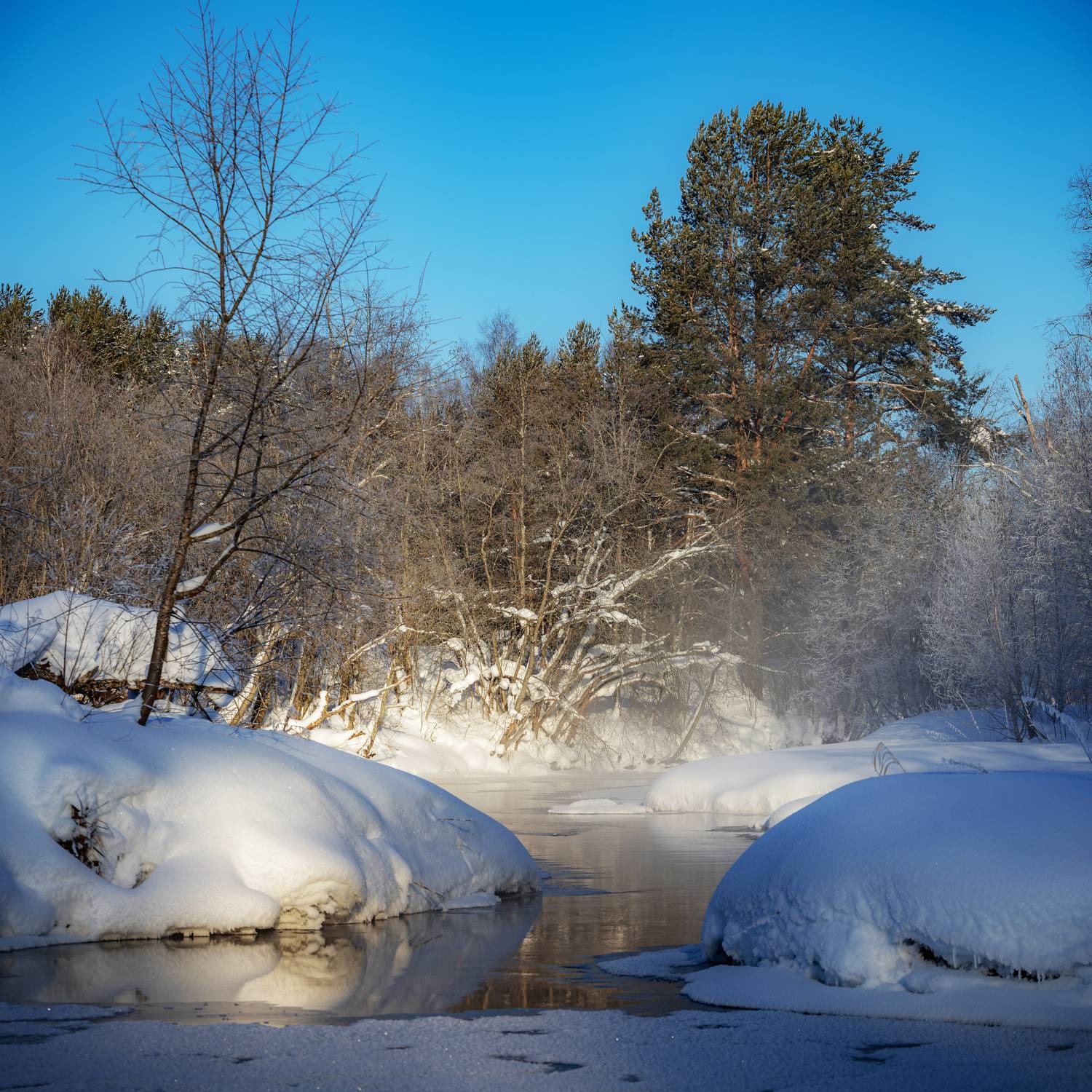 река, реска, зима, снег, вода, солнце, лес, лед, Небо, отражения, пар, холод, холодно, утро, ярко, Панагушин Сергей