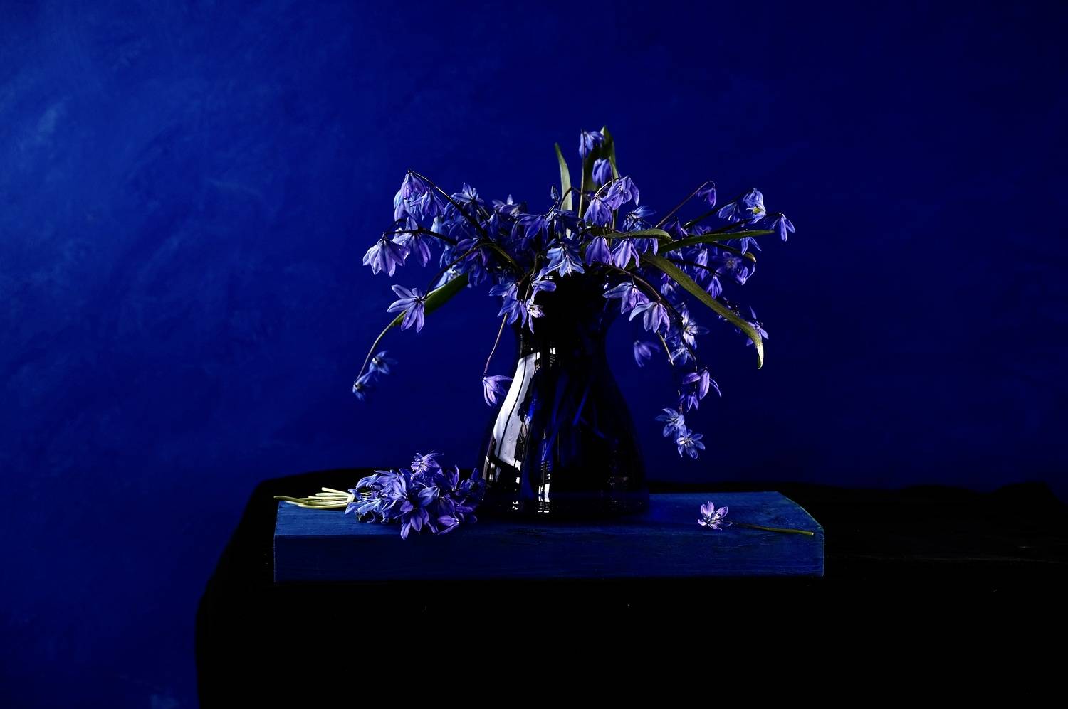 Still life, Scilla, Flowers, Blue, Mood, Colors, Povarova Ree Svetlana