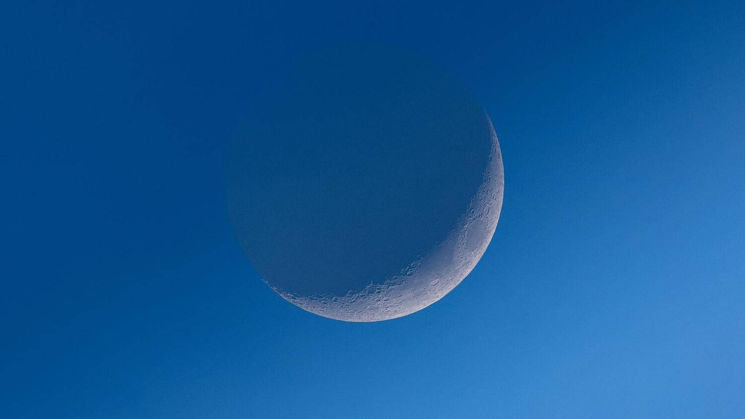 , Михаил Загрядский