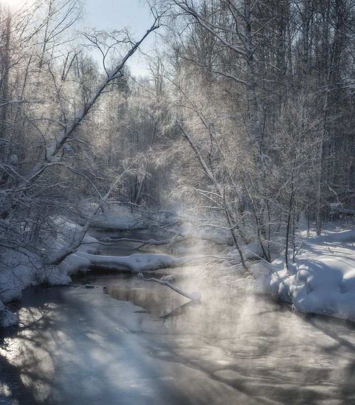 Серебряный март фото превью