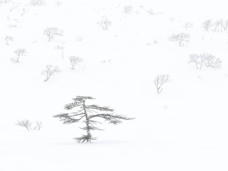 Зимнее хокку на склонах вулкана Баранского фото превью