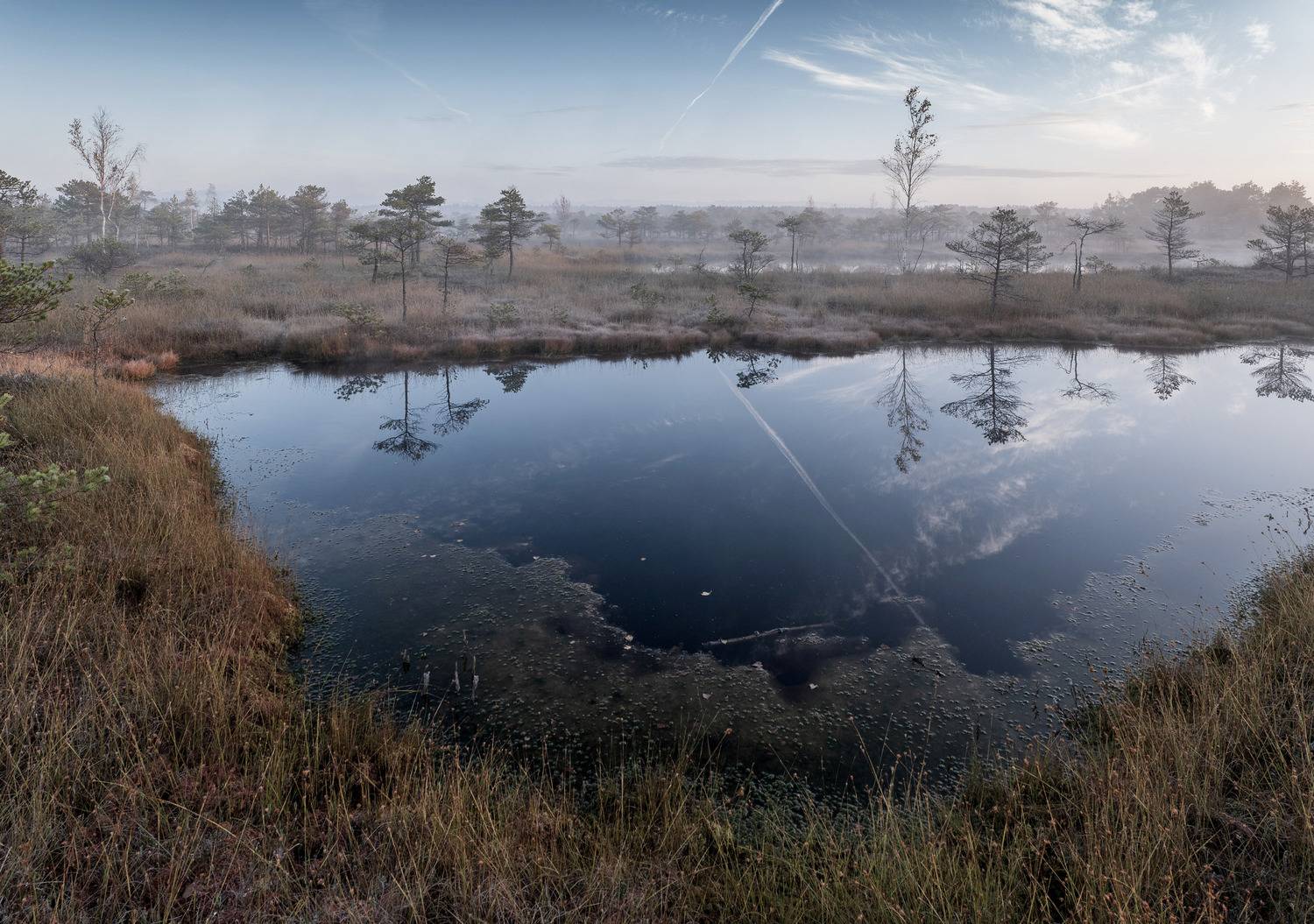 , Гордон Николай