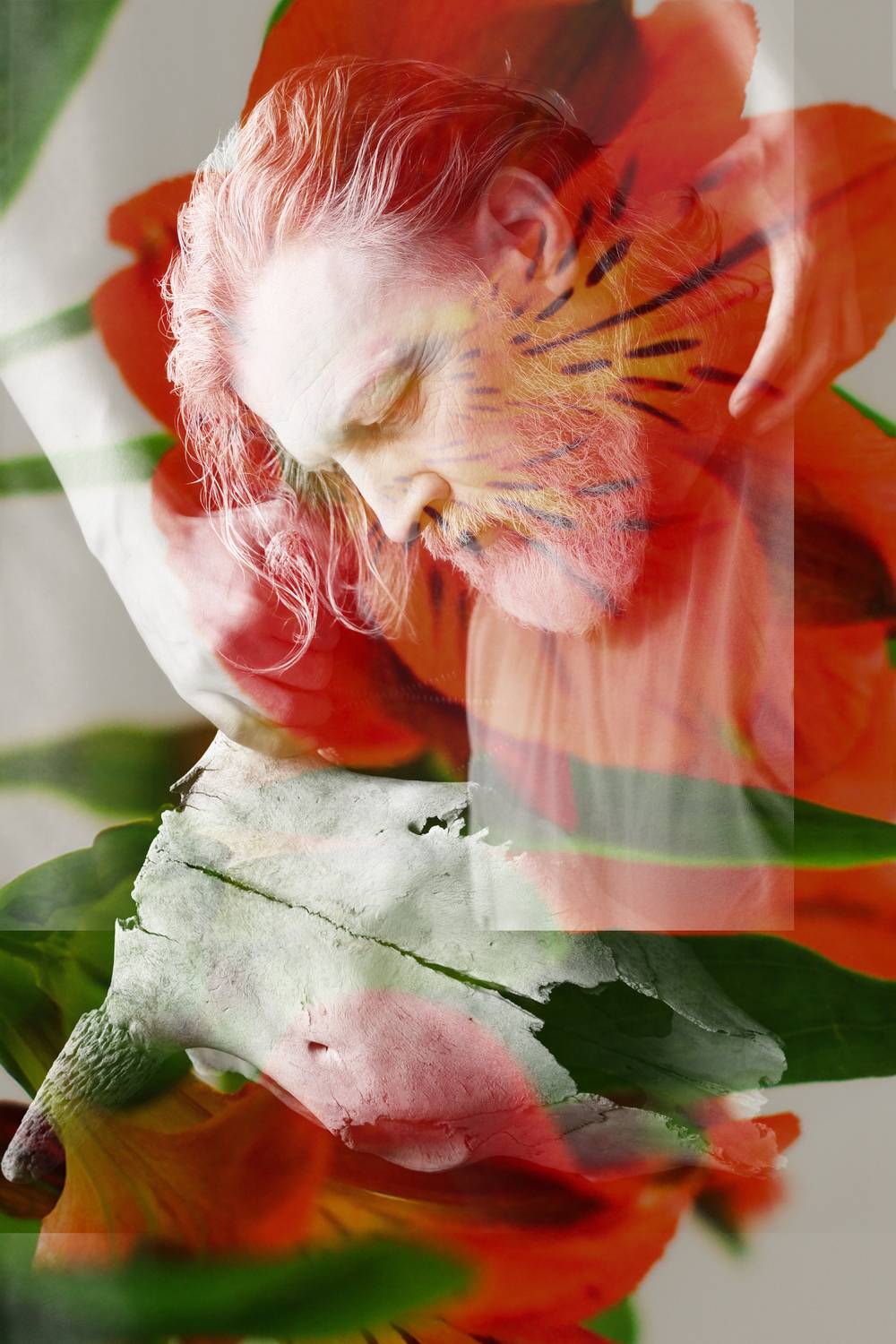 автопортрет, портрет, мужской портрет, концептуальный портрет, концептуальное, череп, череп коровы, рога, коллаж, Шарабанов Дмитрий