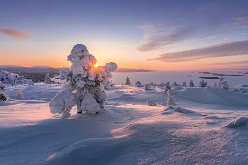 Ледяные скульптуры