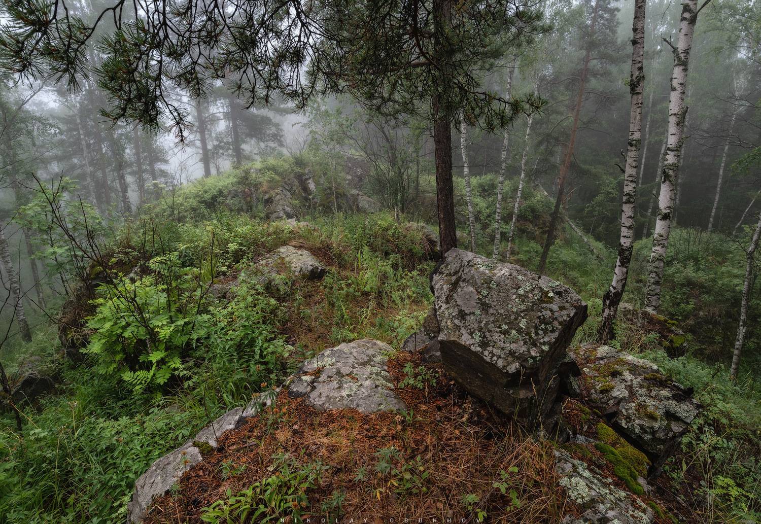 , Обухов Николай