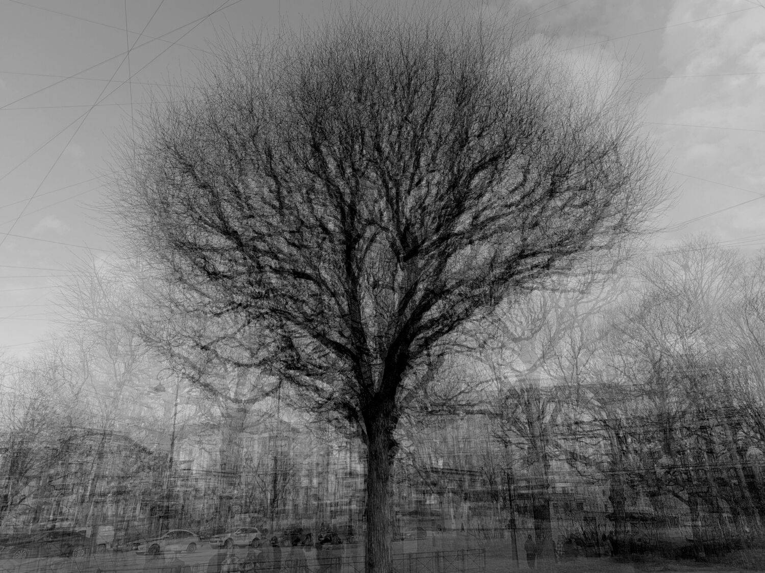 , Антон Лаба