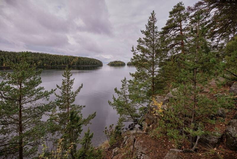 карелия., ладожское, озеро., валаам., осень. На Валааме фото превью