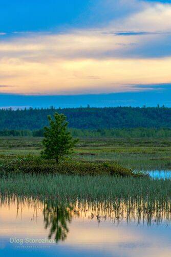 Одиночество