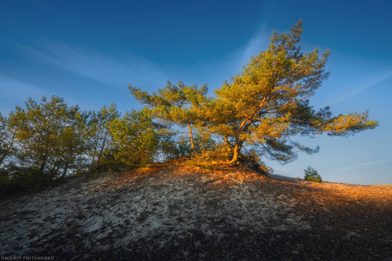 , Валерий Притченко