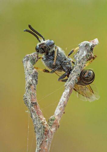 Когда заснул на йоге