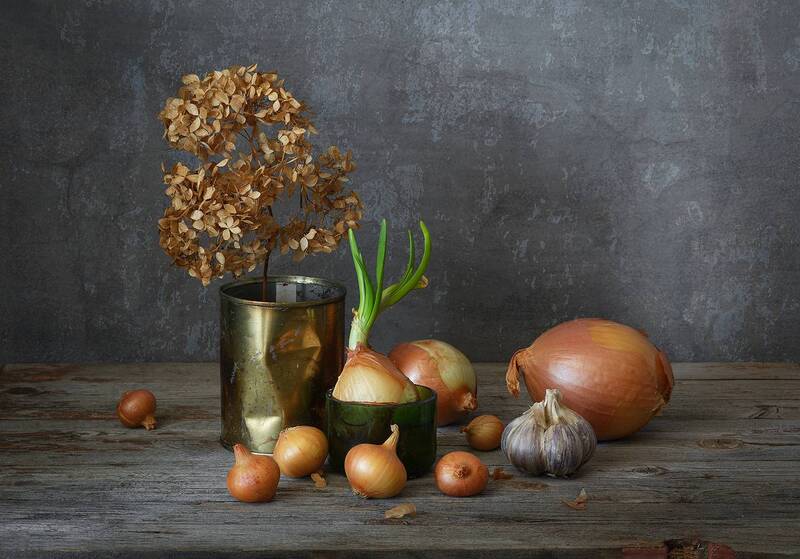 лук, чеснок, банка, сухоцвет  фото превью
