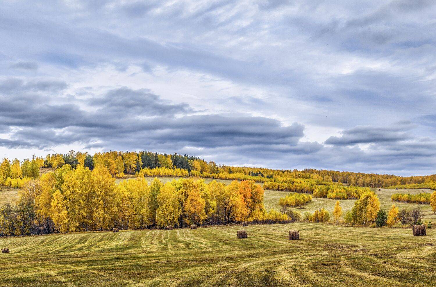 , Ушаков Валерий