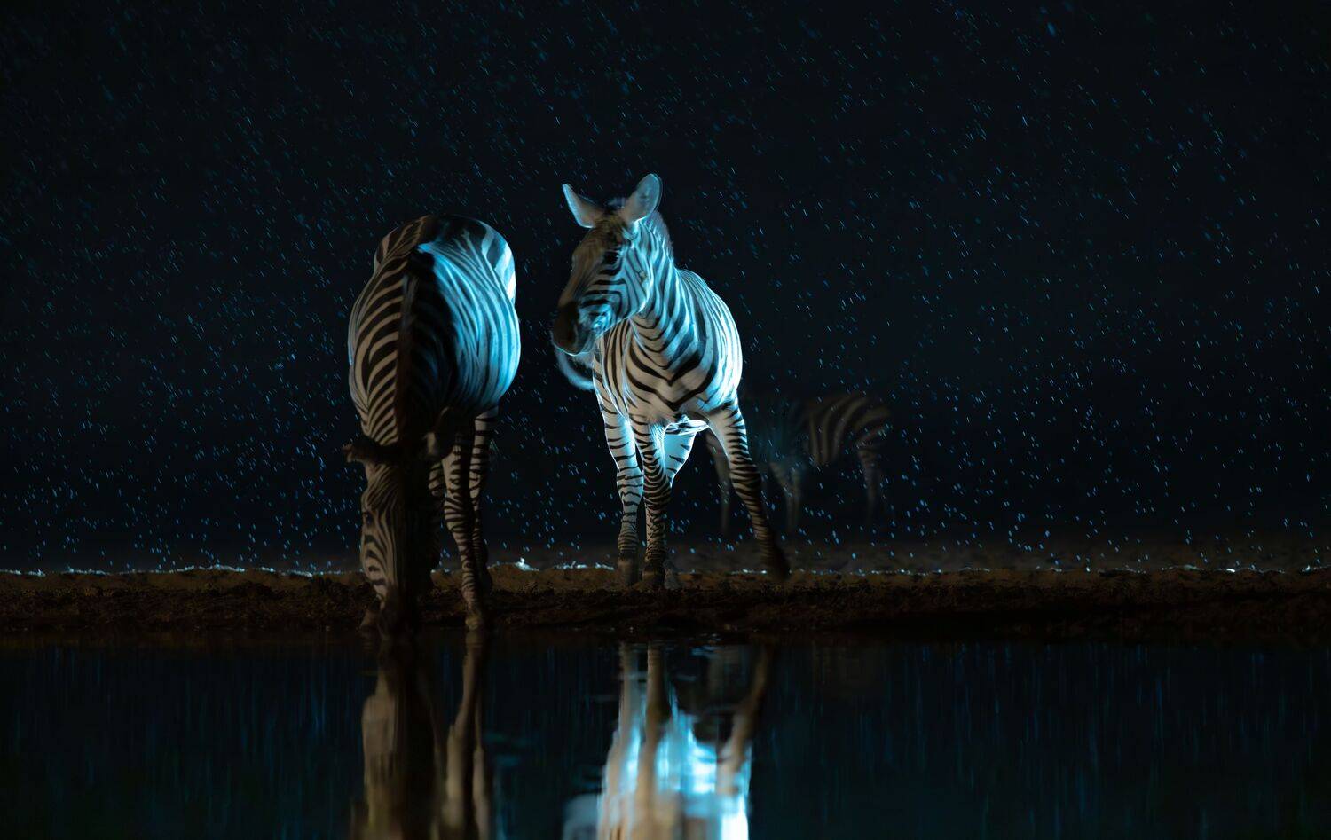 Кения, Сулоев Алексей