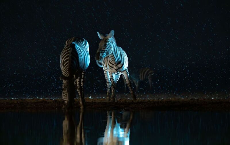 Кения  фото превью