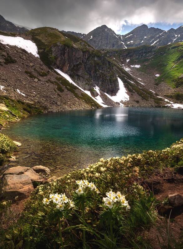 кавказ, карачаево-черкесия, кчр, озеро, горное озеро, горные цветы, дуккинские озера, архыз, горы Изумрудное озеро фото превью