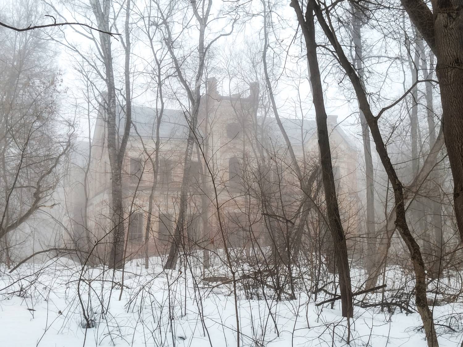 , Кондрашова Светлана