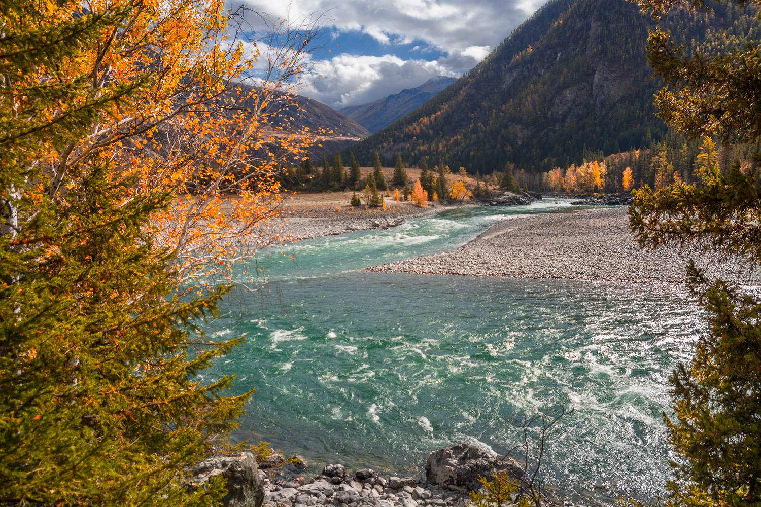 россия, горный алтай, слияние двух рек, впадение, стрелка, осень, Андрей Поляков