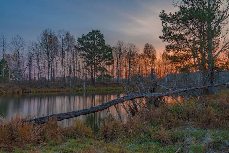 Первые лучи. фото превью