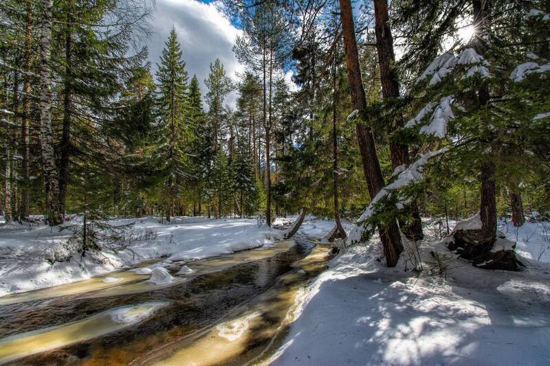 Весенний пейзаж фото превью