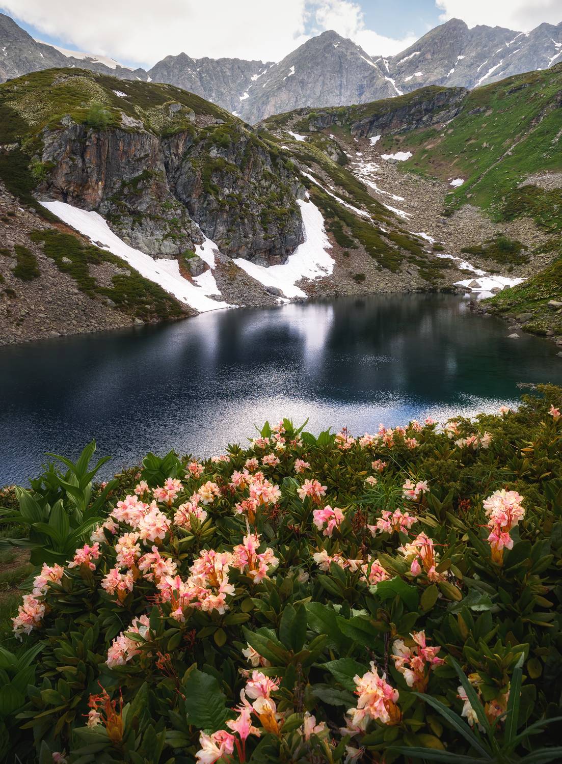 кавказ, карачаево-черкесия, кчр, горы, горное озеро, горные цветы, дуккинские озера, рододендрон, архыз, озеро, Zakharov Armen