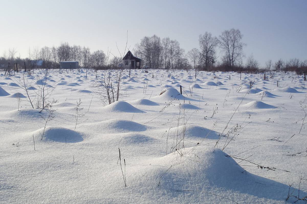 зима, лес, опушка, поле, Колеснева Елена
