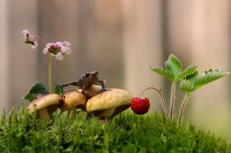 Я тут хозяйка! фото превью