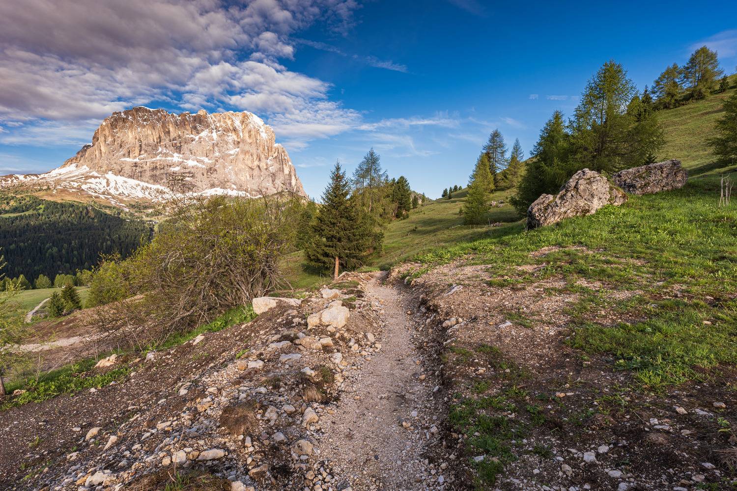 , Гордон Николай