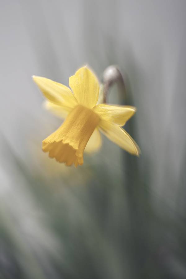 , Наталья Ова