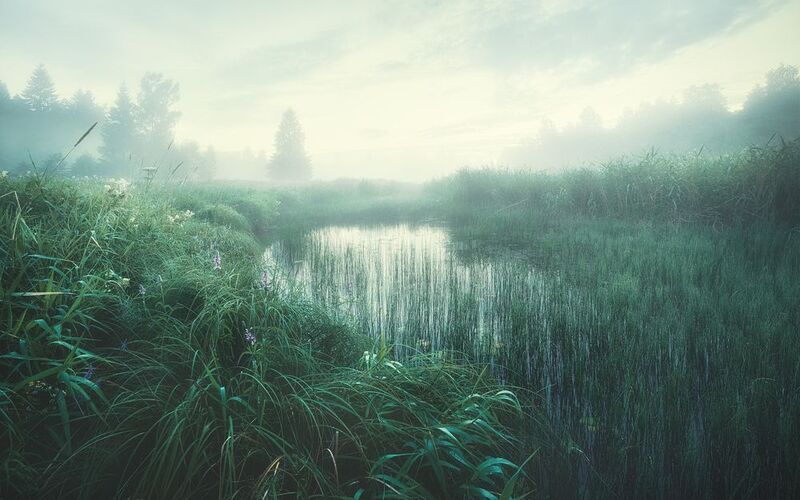 один фото превью