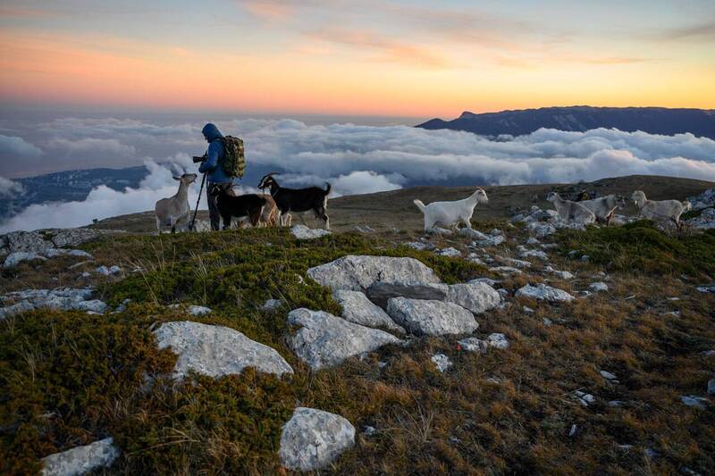 Встреча фото превью