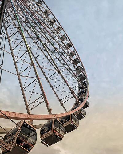 Ted Morgan Portofolio