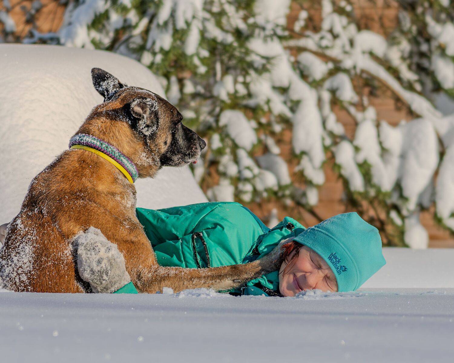 , Сергей Жиркевич