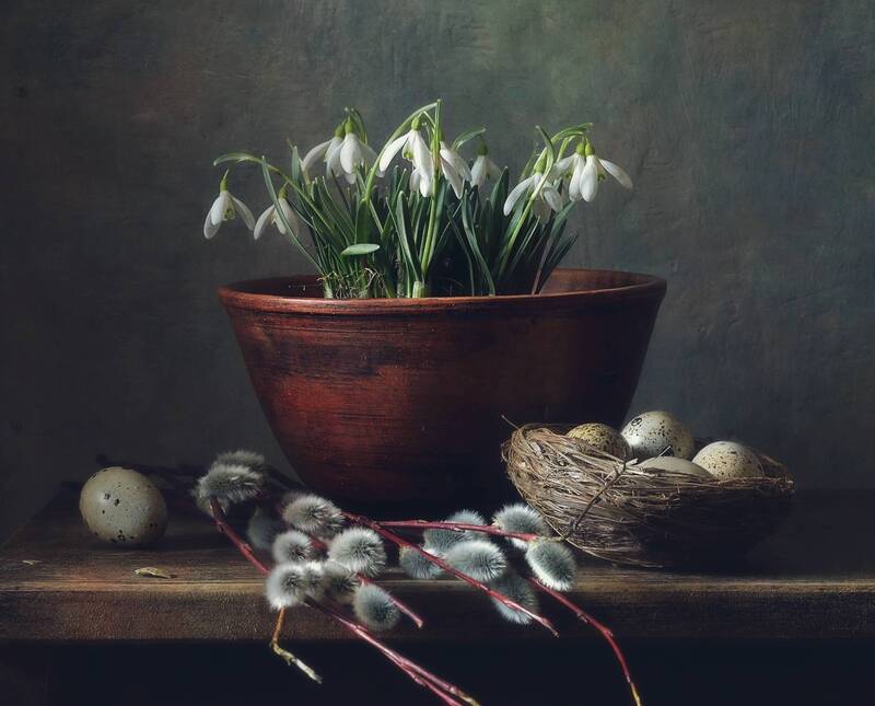 натюрморт, весна, подснежник, верба, яйца весна... фото превью