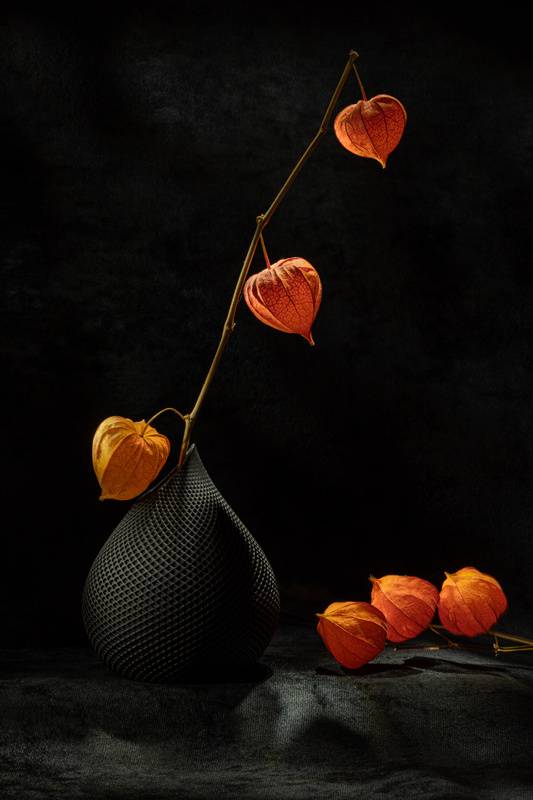 , Игорь Копцев