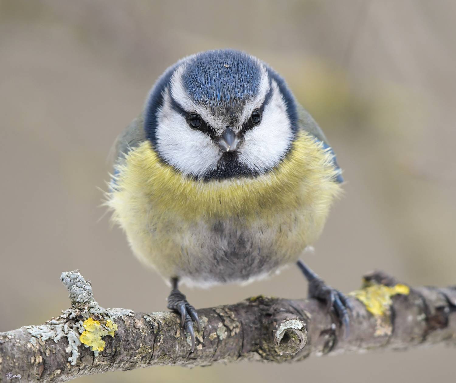 , Наталья Екимова